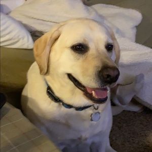 Meet your Posher, Patrick